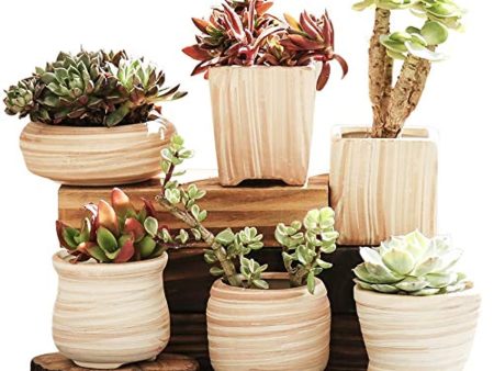 winemana 6 Pcs Set 3 Inch Ceramic Succulent Plant Pot, Wooden Pattern Succulent Planter Container Bonsai Cactus Pots Discount