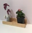 Floating Ledge Shelf For Planter Artefacts On Wall By Miza on Sale