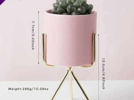 Pink Planter Hot on Sale